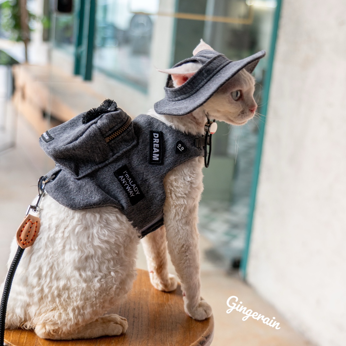 수제 럭셔리 여행 고양이 캐리어 스낵 가방, 귀여운 애 - Luxury Bags Cute 리뷰 및 가격