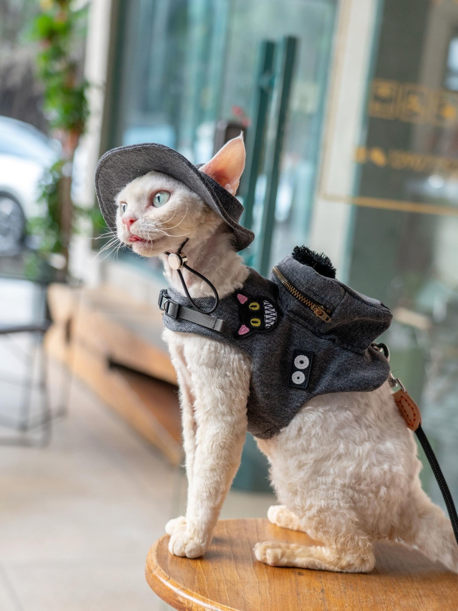 수제 럭셔리 여행 고양이 캐리어 스낵 가방, 귀여운 애 - Luxury Bags Cute 리뷰 및 가격