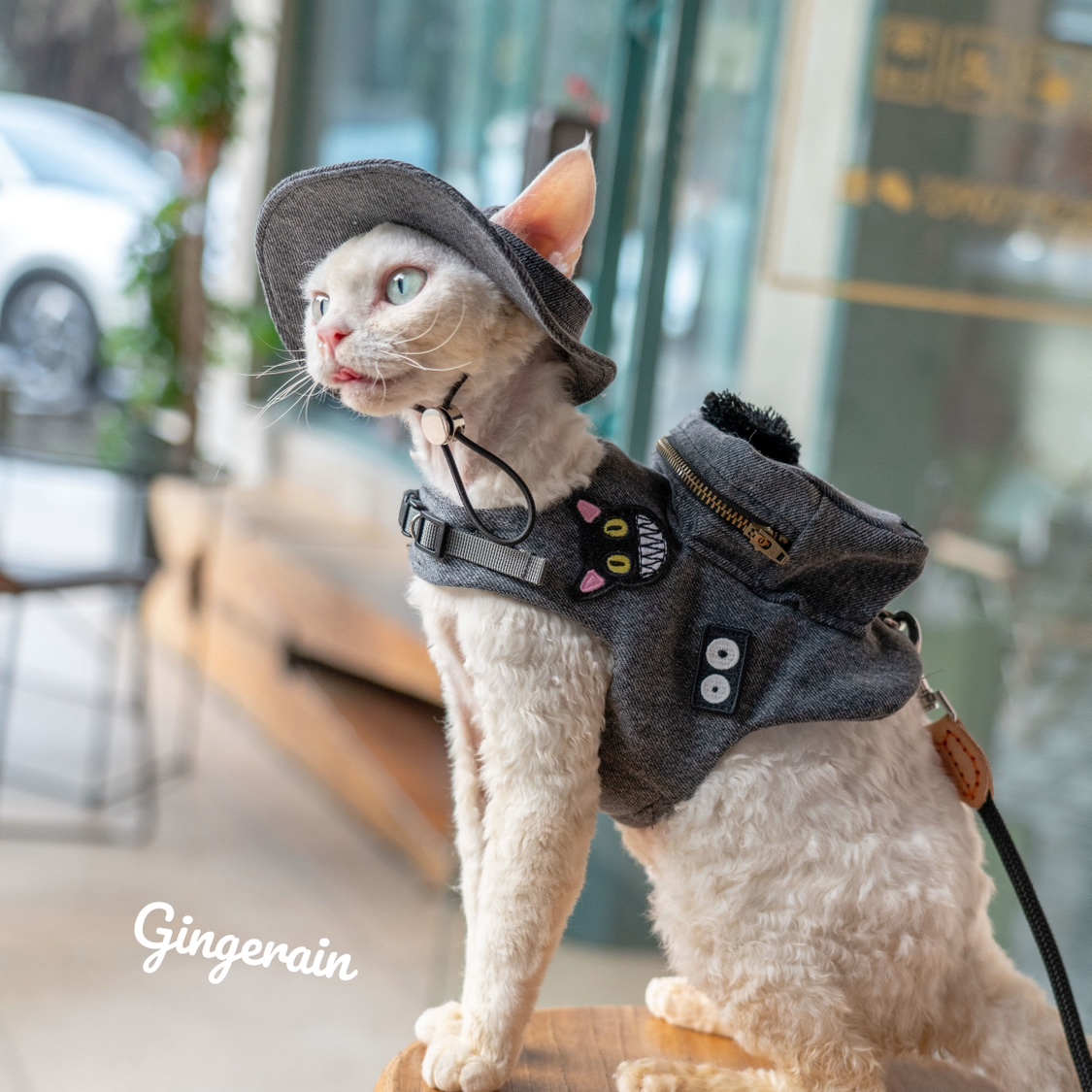 수제 럭셔리 여행 고양이 캐리어 스낵 가방, 귀여운 애 - Luxury Bags Cute 리뷰 및 가격